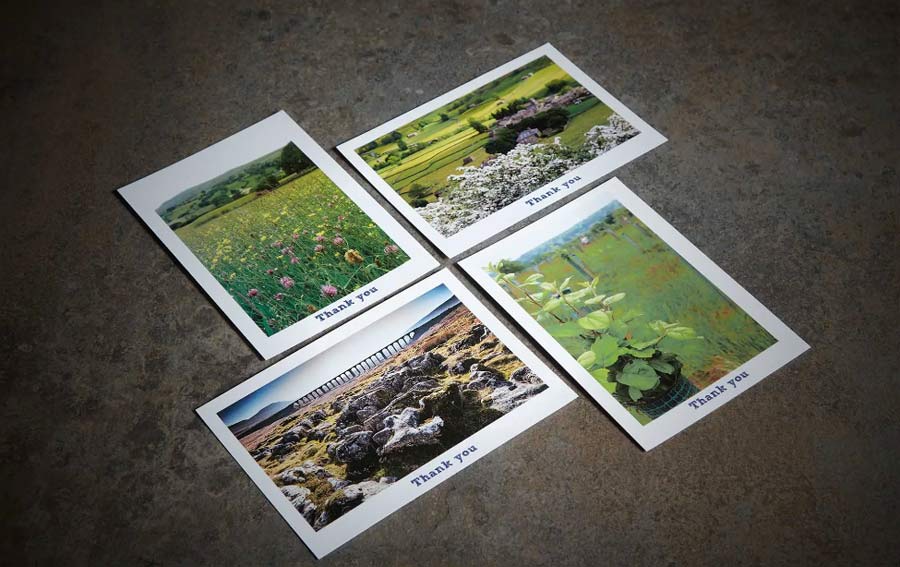 Postcard Printers