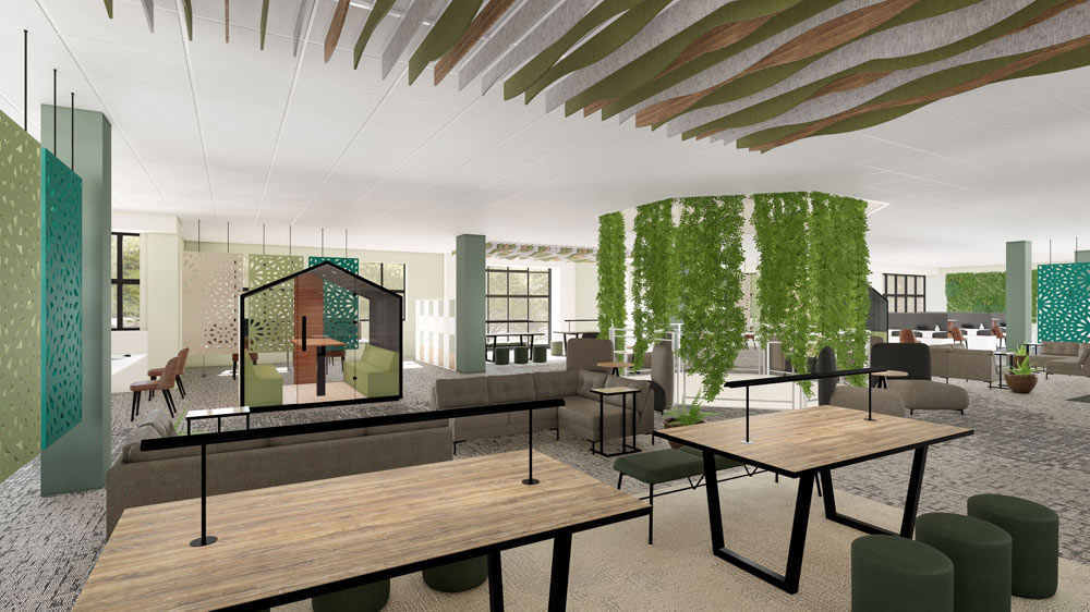 Commercial and Education Interior Design