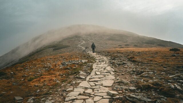 Photo by Sylwia Bartyzel Photo by Sylwia Bartyzel - Unsplash