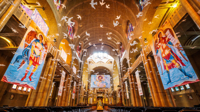 Basiliek-370-211