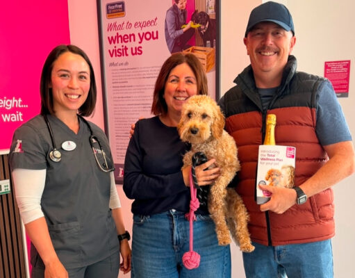 Newly opened veterinary practice reveals North East dog owners are crazy for Cockapoos