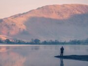 Photo by Jonny Gios - Unsplash